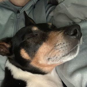 Meet your Posher, Justin